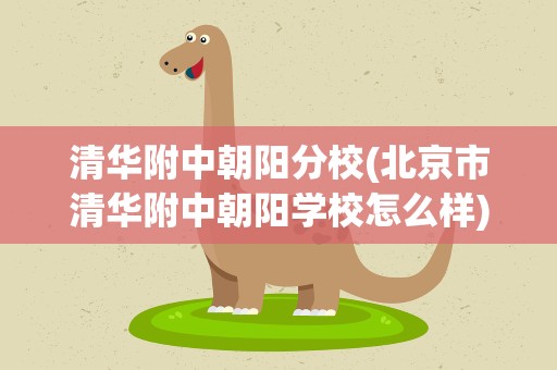 清华附中朝阳分校(北京市清华附中朝阳学校怎么样)