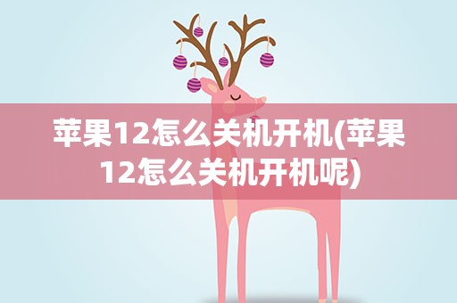 苹果12怎么关机开机(苹果12怎么关机开机呢)