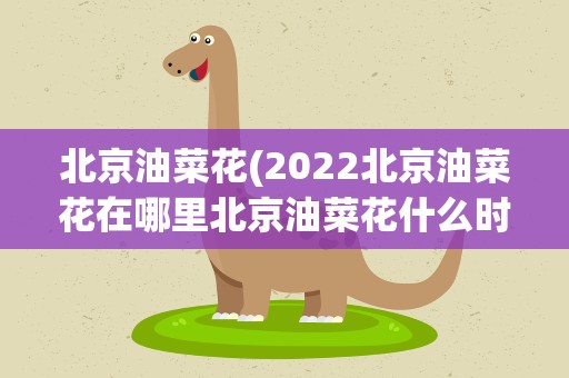 北京油菜花(2022北京油菜花在哪里北京油菜花什么时候开)