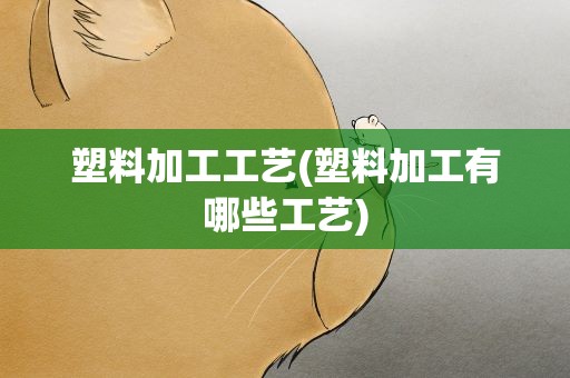 塑料加工工艺(塑料加工有哪些工艺)
