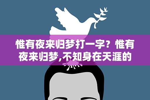 惟有夜来归梦打一字？惟有夜来归梦,不知身在天涯的意思