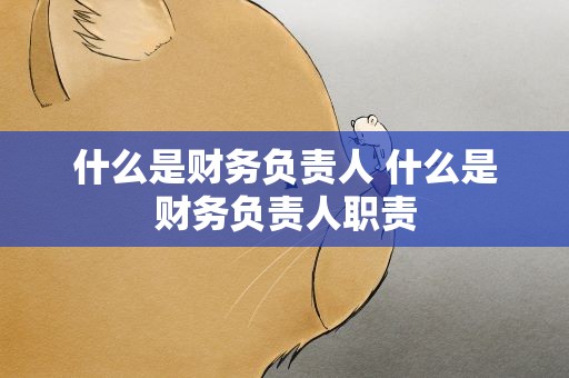 什么是财务负责人 什么是财务负责人职责