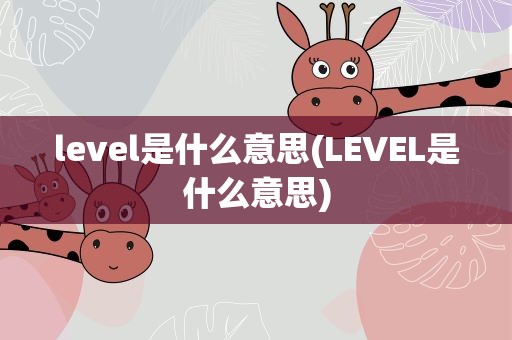 level是什么意思(LEVEL是什么意思)