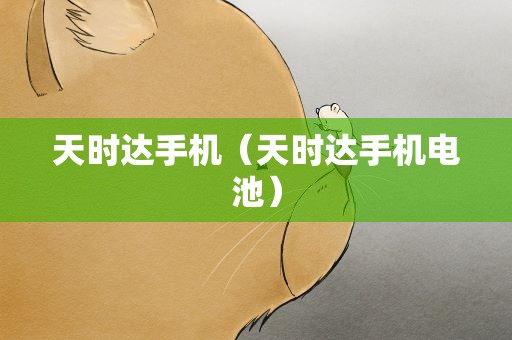天时达手机（天时达手机电池）