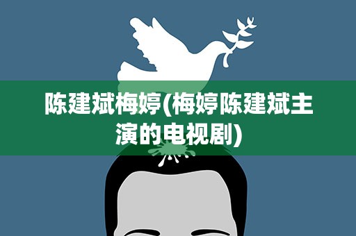 陈建斌梅婷(梅婷陈建斌主演的电视剧)