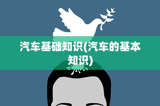 汽车基础知识(汽车的基本知识)
