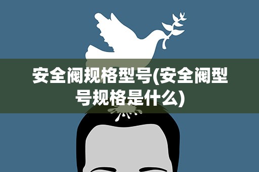 安全阀规格型号(安全阀型号规格是什么)