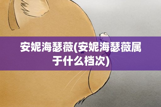 安妮海瑟薇(安妮海瑟薇属于什么档次)