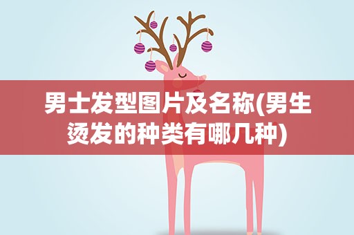 男士发型图片及名称(男生烫发的种类有哪几种)