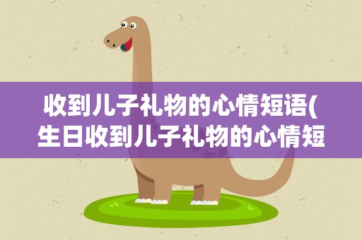 收到儿子礼物的心情短语(生日收到儿子礼物的心情短语)