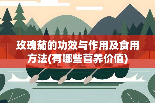 玫瑰茄的功效与作用及食用方法(有哪些营养价值)