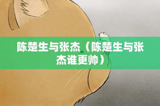 陈楚生与张杰（陈楚生与张杰谁更帅）