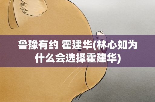 鲁豫有约 霍建华(林心如为什么会选择霍建华)