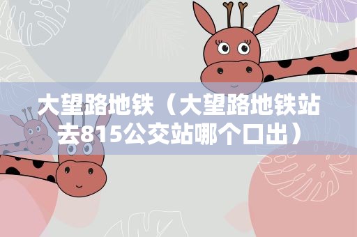 大望路地铁（大望路地铁站去815公交站哪个口出）