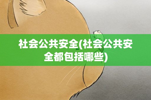 社会公共安全(社会公共安全都包括哪些)