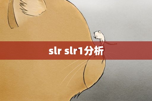 slr slr1分析