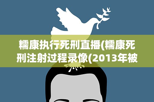 糯康执行死刑直播(糯康死刑注射过程录像(2013年被执行注射死刑))