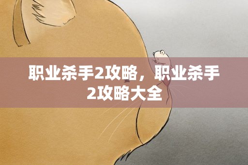 职业杀手2攻略，职业杀手2攻略大全