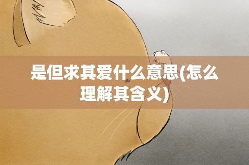 是但求其爱什么意思(怎么理解其含义)