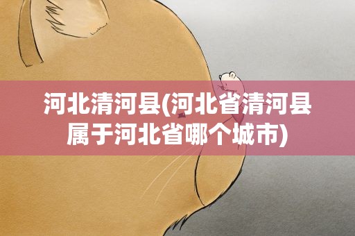 河北清河县(河北省清河县属于河北省哪个城市)