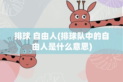 排球 自由人(排球队中的自由人是什么意思)
