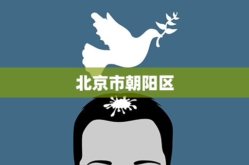 北京市朝阳区