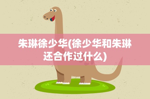 朱琳徐少华(徐少华和朱琳还合作过什么)