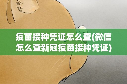 疫苗接种凭证怎么查(微信怎么查新冠疫苗接种凭证)