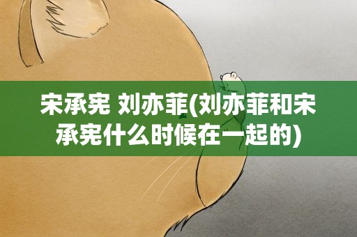 宋承宪 刘亦菲(刘亦菲和宋承宪什么时候在一起的)