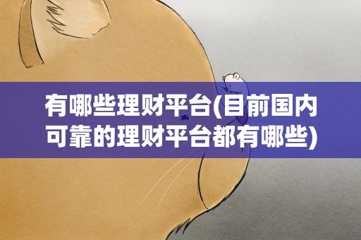 有哪些理财平台(目前国内可靠的理财平台都有哪些)