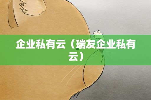 企业私有云（瑞友企业私有云）