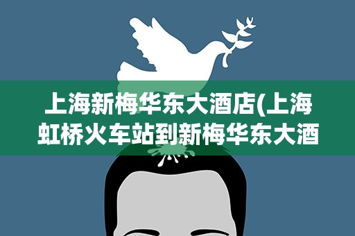 上海新梅华东大酒店(上海虹桥火车站到新梅华东大酒店怎么走)