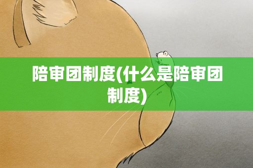 陪审团制度(什么是陪审团制度)