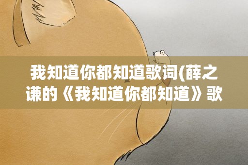 我知道你都知道歌词(薛之谦的《我知道你都知道》歌词)
