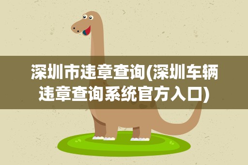 深圳市违章查询(深圳车辆违章查询系统官方入口)