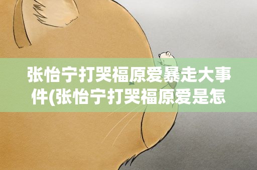 张怡宁打哭福原爱暴走大事件(张怡宁打哭福原爱是怎么回事)