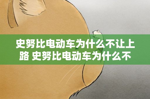 史努比电动车为什么不让上路 史努比电动车为什么不让上路了