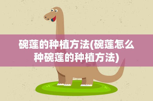 碗莲的种植方法(碗莲怎么种碗莲的种植方法)
