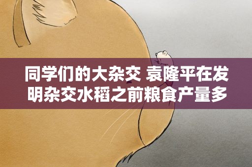 同学们的大杂交 袁隆平在发明杂交水稻之前粮食产量多大