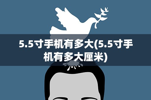 5.5寸手机有多大(5.5寸手机有多大厘米)