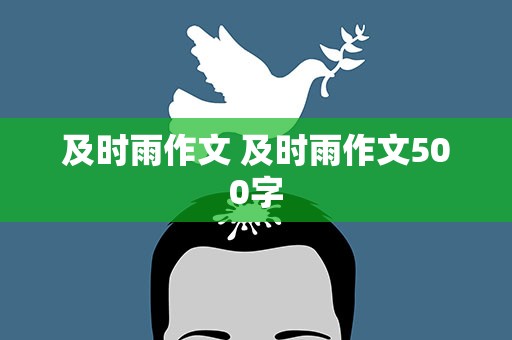 及时雨作文 及时雨作文500字