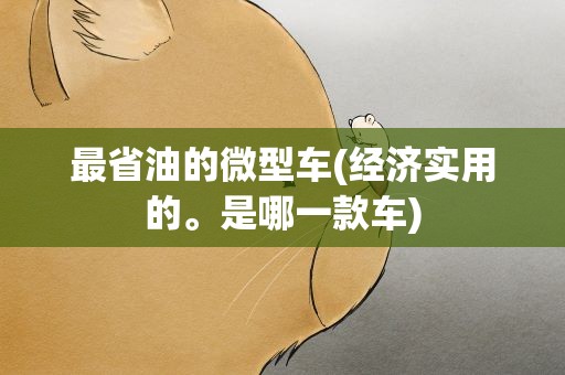 最省油的微型车(经济实用的。是哪一款车)