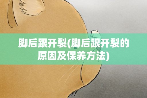 脚后跟开裂(脚后跟开裂的原因及保养方法)