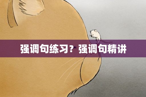 强调句练习？强调句精讲