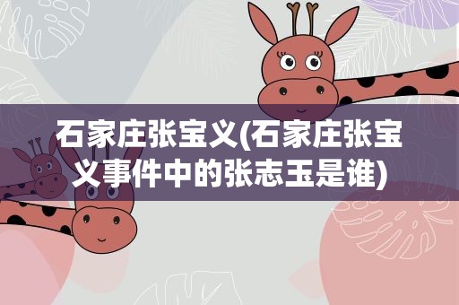 石家庄张宝义(石家庄张宝义事件中的张志玉是谁)