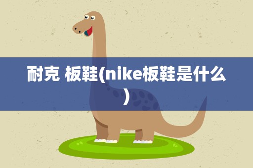 耐克 板鞋(nike板鞋是什么)