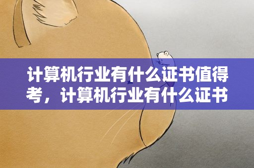 计算机行业有什么证书值得考，计算机行业有什么证书值得考的