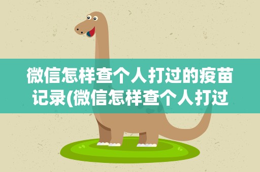 微信怎样查个人打过的疫苗记录(微信怎样查个人打过新冠疫苗记录)