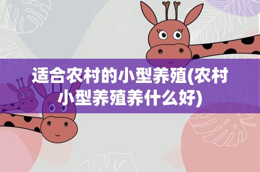 适合农村的小型养殖(农村小型养殖养什么好)