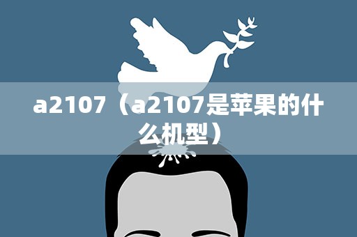 a2107（a2107是苹果的什么机型）